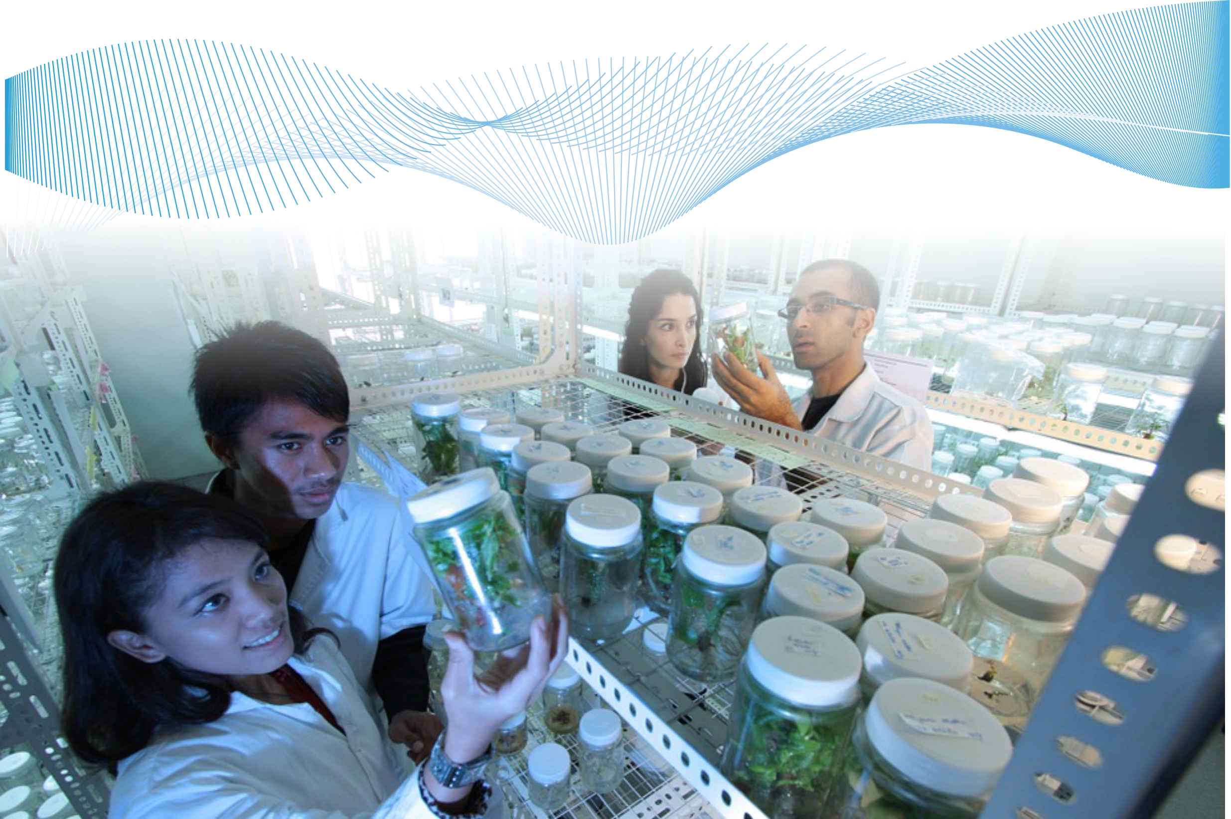 Image Title My Image